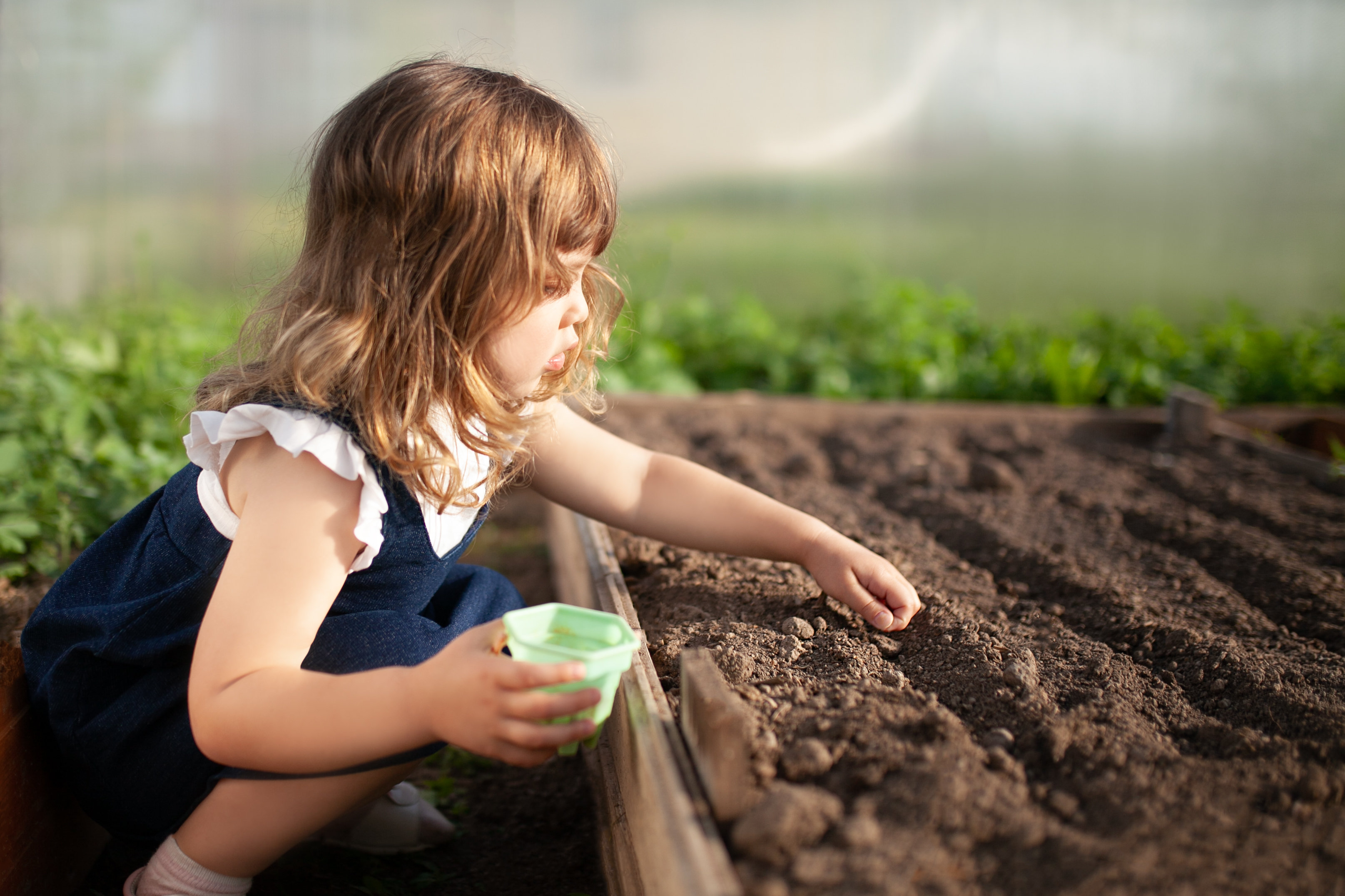 Environnement – Agir pour le climat et la protection de la biodiversité
